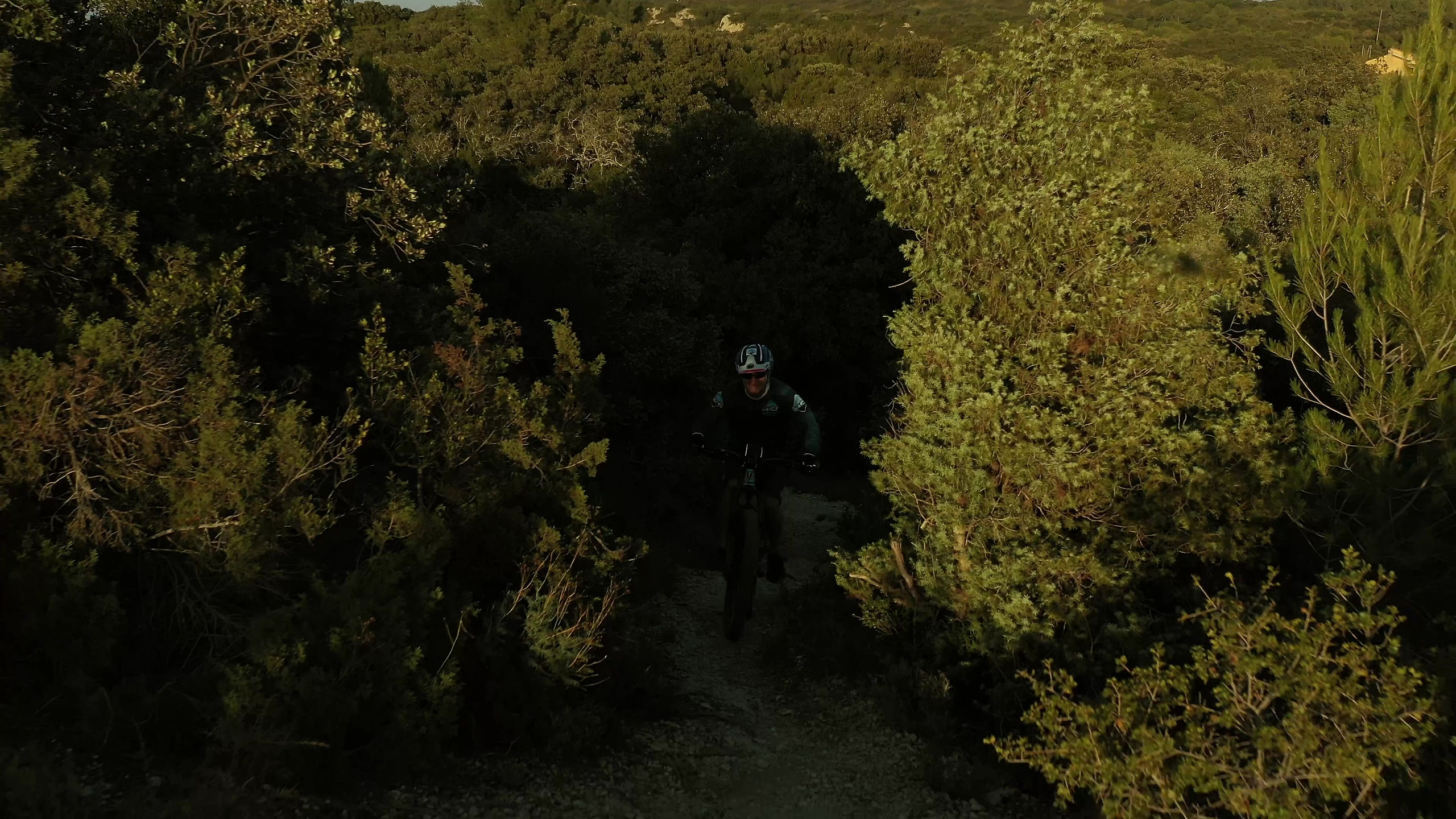 Provence Bike Tour By Annadrone